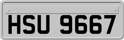 HSU9667