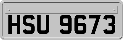 HSU9673