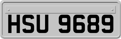 HSU9689