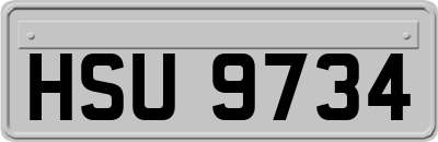 HSU9734