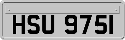HSU9751