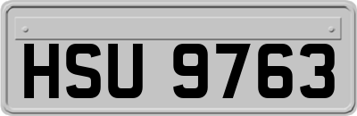 HSU9763