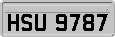 HSU9787
