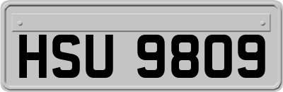 HSU9809