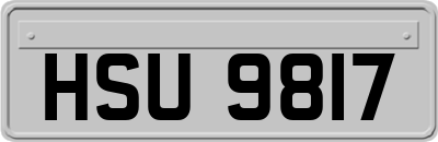 HSU9817