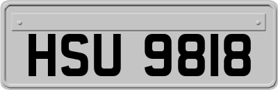 HSU9818