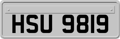 HSU9819