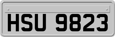 HSU9823