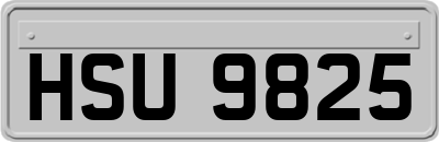 HSU9825