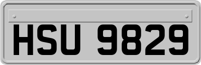 HSU9829
