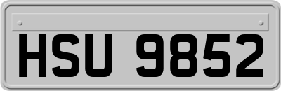 HSU9852