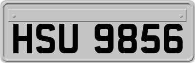 HSU9856