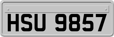HSU9857
