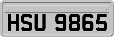 HSU9865
