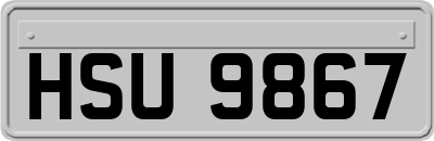 HSU9867