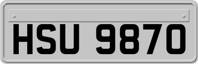 HSU9870