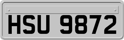 HSU9872