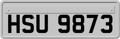 HSU9873
