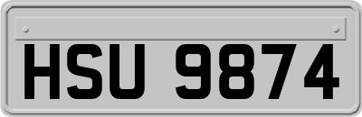 HSU9874