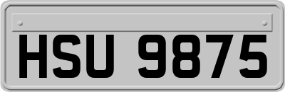 HSU9875