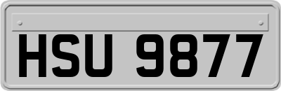 HSU9877