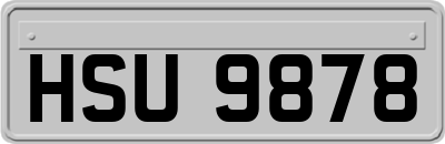 HSU9878