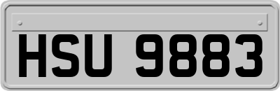 HSU9883
