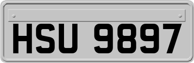 HSU9897