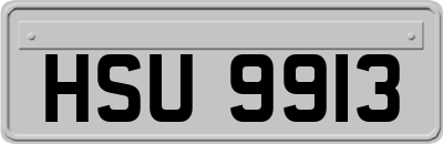HSU9913
