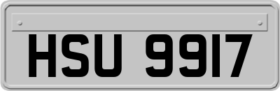 HSU9917