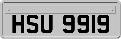 HSU9919