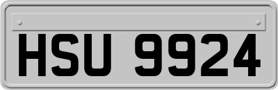 HSU9924