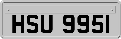 HSU9951
