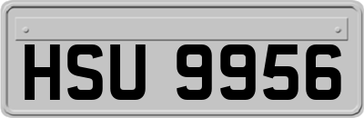 HSU9956