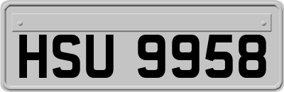 HSU9958