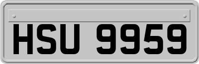 HSU9959