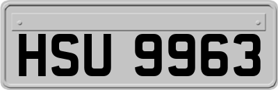HSU9963