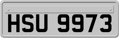 HSU9973