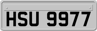 HSU9977