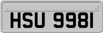 HSU9981