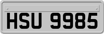 HSU9985