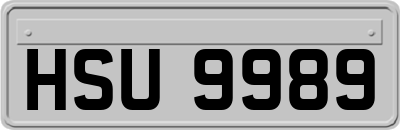 HSU9989