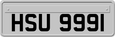 HSU9991