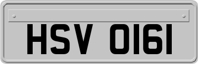 HSV0161