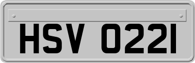 HSV0221
