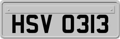 HSV0313