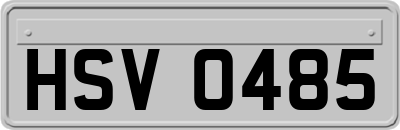 HSV0485