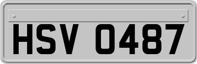 HSV0487