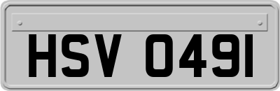HSV0491