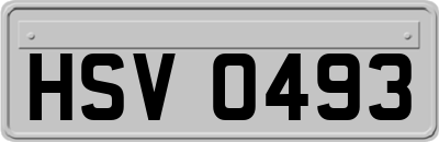 HSV0493